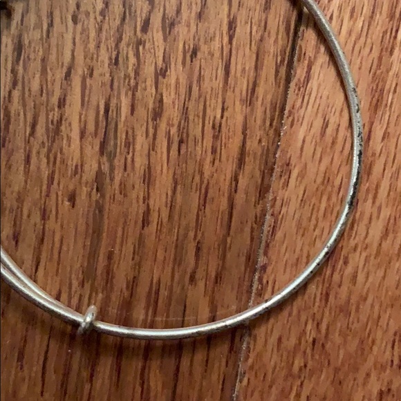 Alex and Ani Infiniti bracelet - Picture 4 of 5